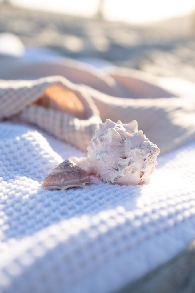 sea shells sitting on a beach blanket in Wilmington, North Carolina